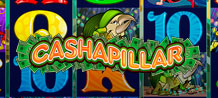 Cashapillar