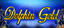 Dolphin Gold
