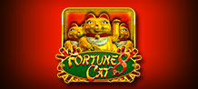 Fortune 8 Cat